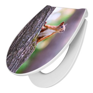 WC-Sitz mit Absenkautomatik und Eichhörnchen Motiv. Duroplast Toilettendeckel für mehr Hygiene im Bad.