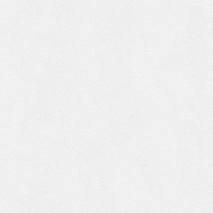 Weiße, leicht strukturierte Vliestapete zum Überstreichen. Schlichte Wandtapete für Wohnzimmer.