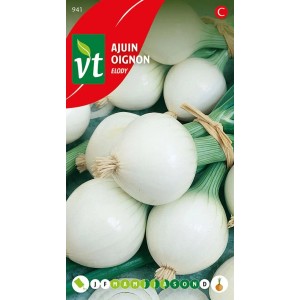 Zwiebel 'Elody' Saatgut ca. 4 g Aromatisch