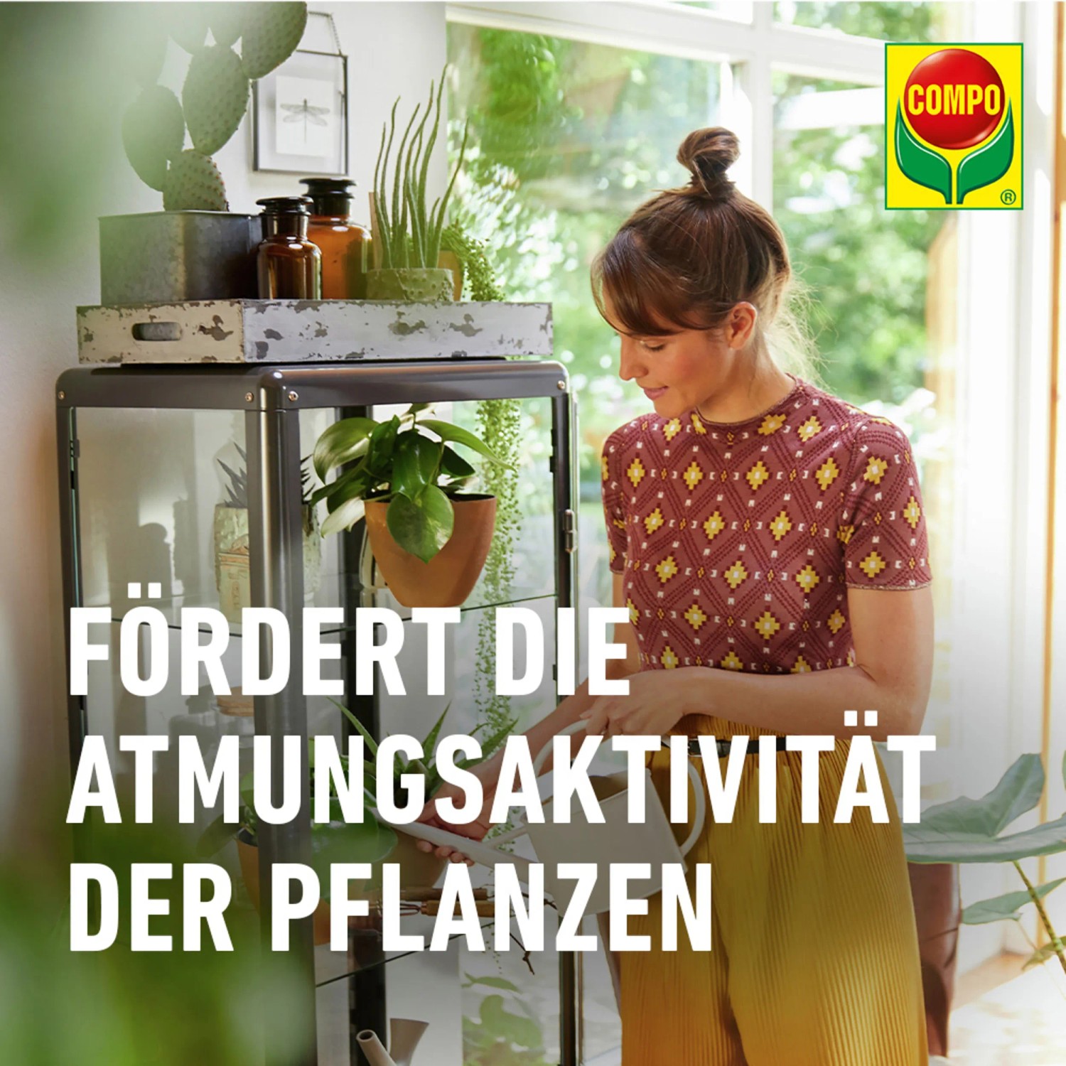 Frau sprüht COMPO Blattglanz auf Zimmerpflanze, fördert die Atmungsaktivität.