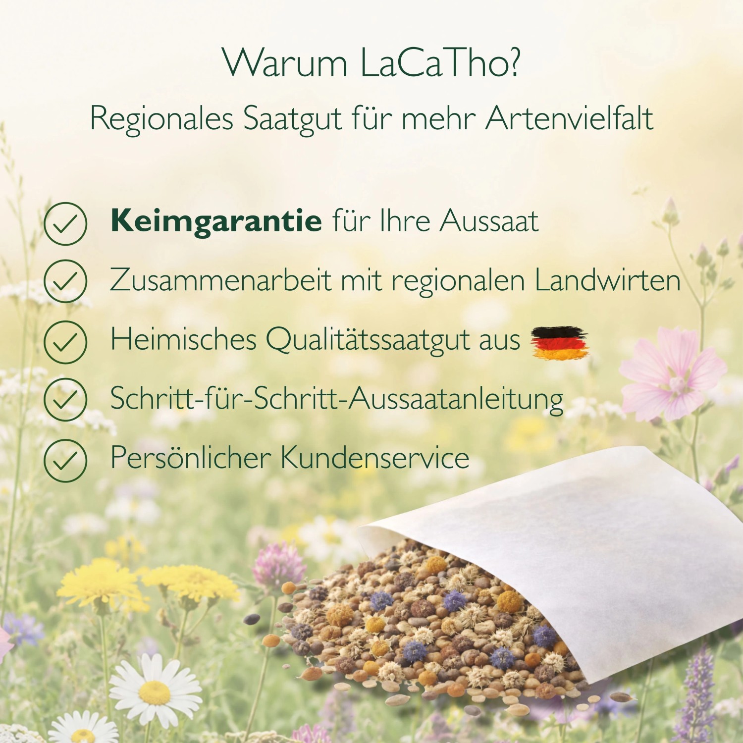 LaCaTho Nachtfalter Mischung Samen: Vorteile wie Keimgarantie, regionales Qualitätssaatgut aus Deutschland, Anleitung. Offene Packung mit Wildblumensamen.