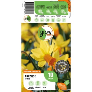 Packung Narzisse Jetfire, 10 Stück, orange-gelbe Blüten für Beet und Garten.