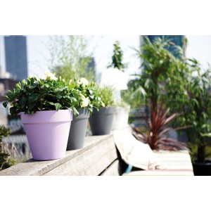 Elho Blumentopf Loft, Ø 20 cm, anthrazit, aus Kunststoff, ideal für Balkon und Garten.