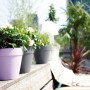 Elho Blumentopf Loft, Ø 20 cm, anthrazit, aus Kunststoff, ideal für Balkon und Garten.