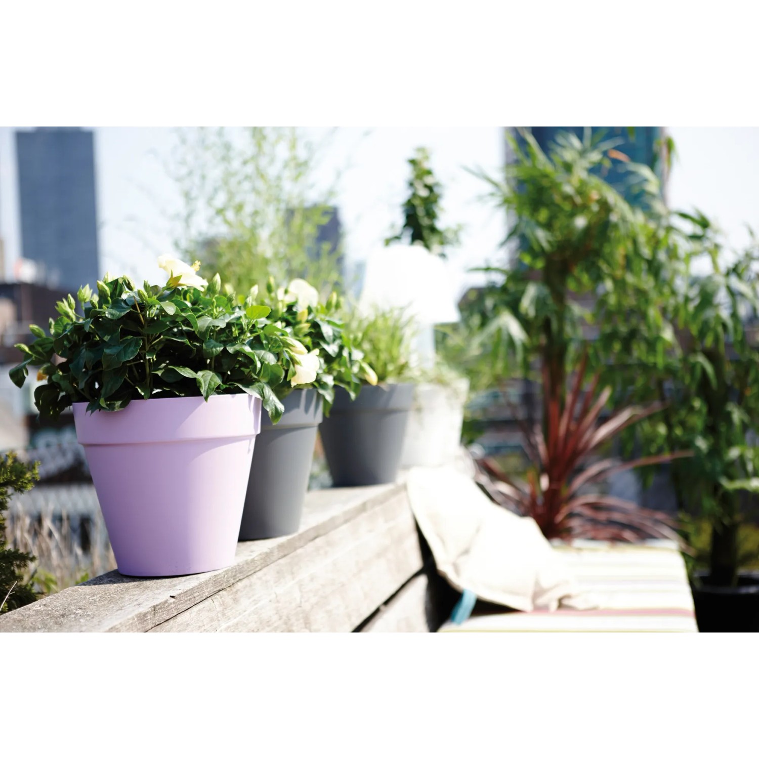 Elho Blumentopf Loft, Ø 20 cm, anthrazit, aus Kunststoff, ideal für Balkon und Garten.