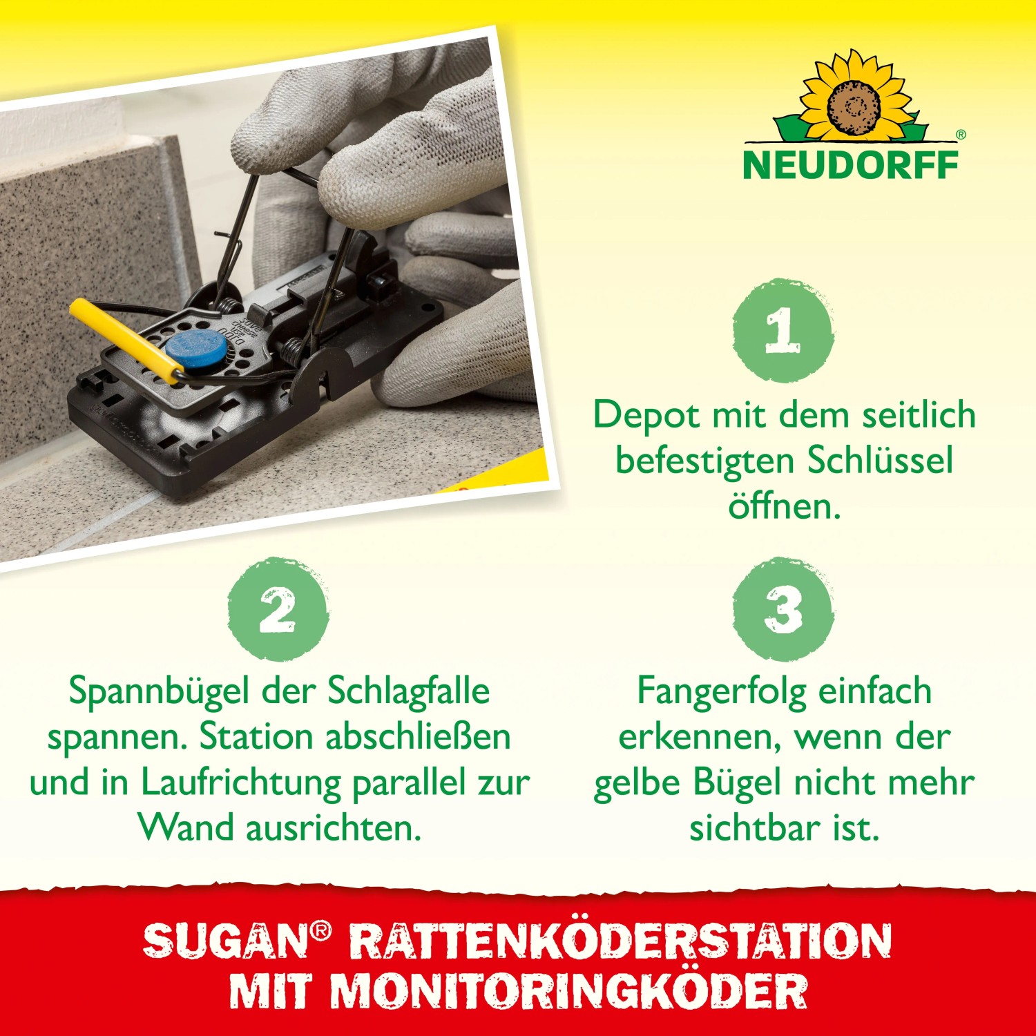 Neudorff Ratten-Köderstation Sugan: Anleitung zum Öffnen, Spannen und Erkennen des Fangerfolgs.
