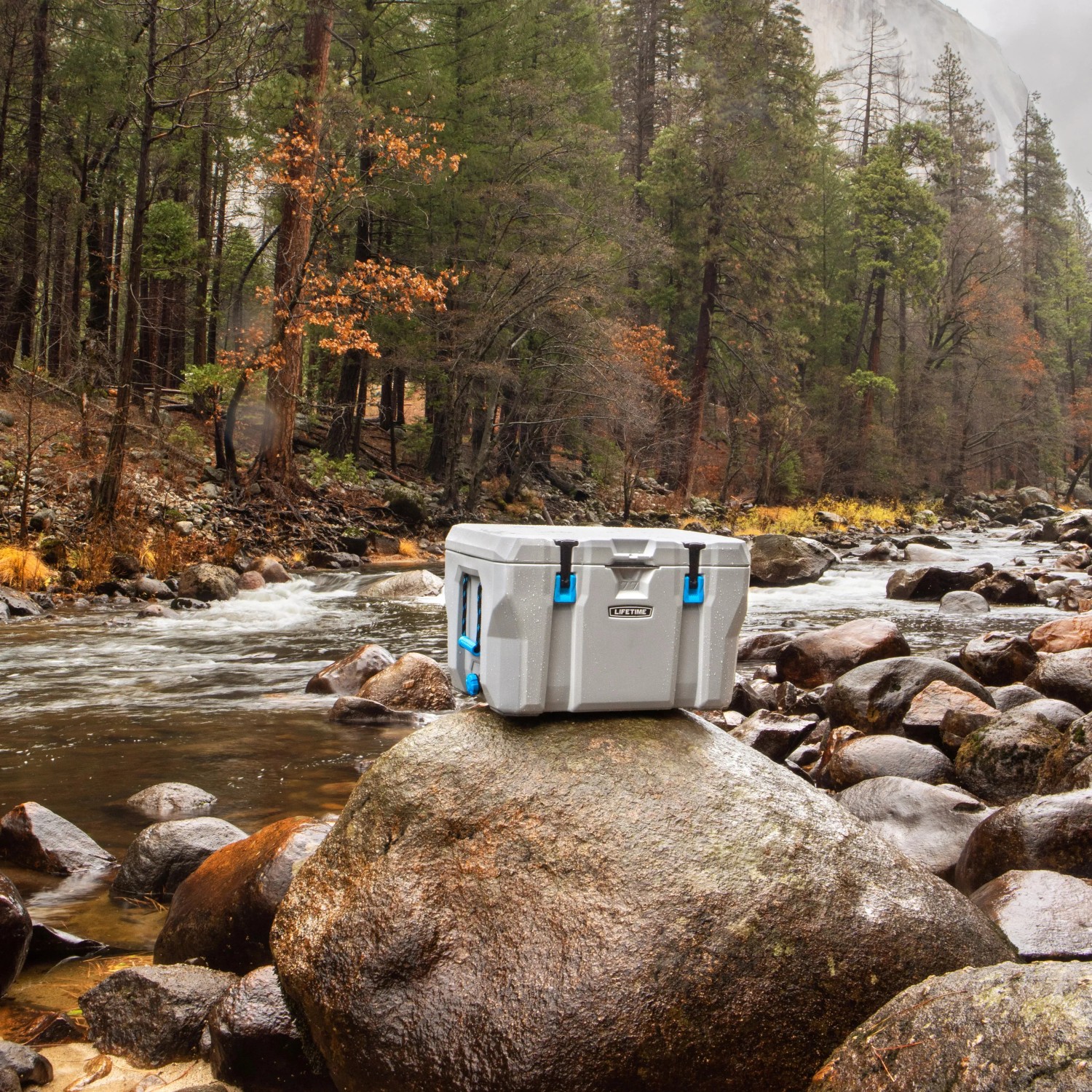 Graue Lifetime Kühlbox (73L) mit blauen Akzenten auf einem Felsen am Fluss.