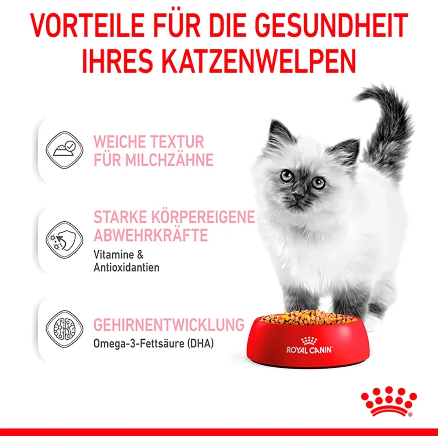 Royal Canin Kitten Nassfutter in Gelee 85 g kaufen bei OBI