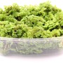 Dennerle Aquariumpflanze Azolla Filiculoides Portion in Kunststoffschale, grüne Schwimmpflanze.