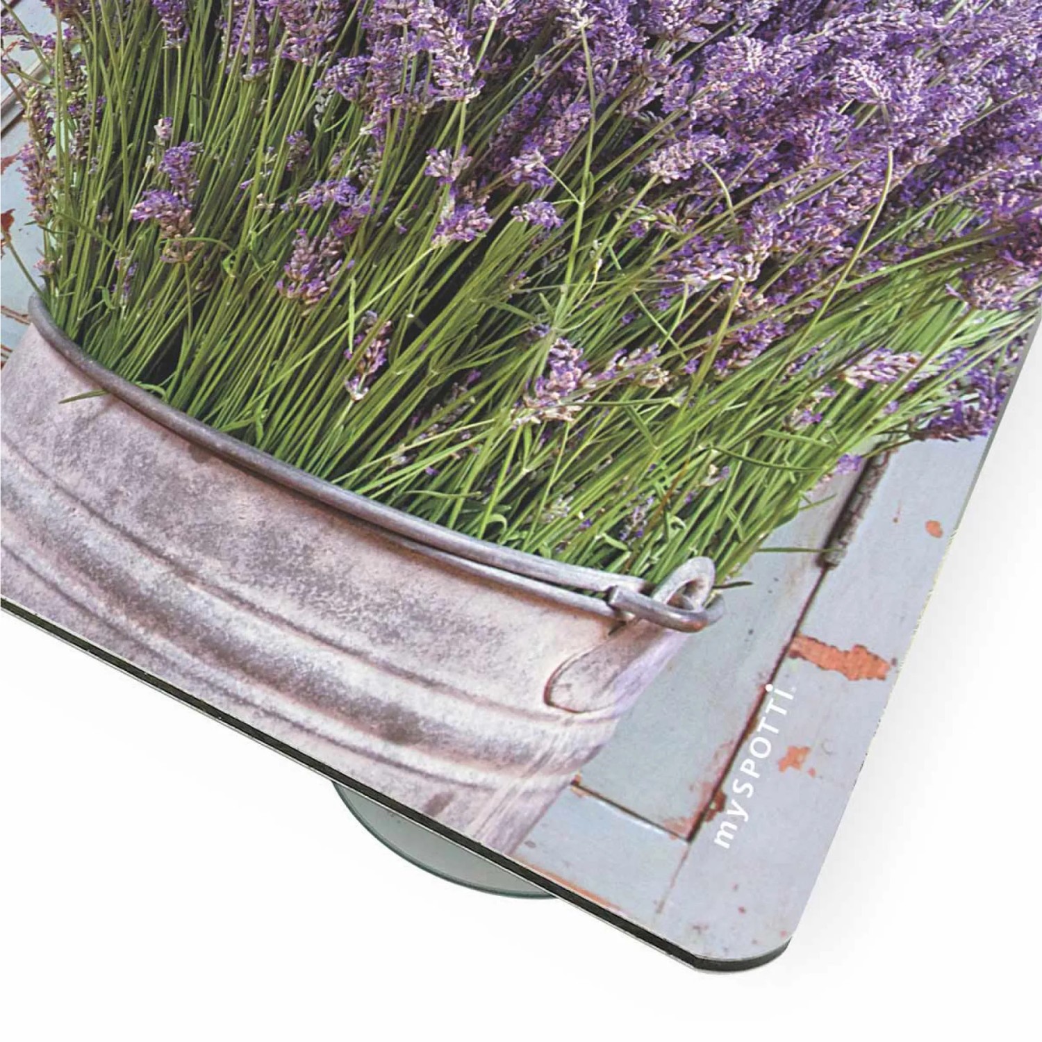 Myspotti Mini-Spritzschutzplatte Vintage Lavendel, Küchenrückwand mit Lavendelmotiv.