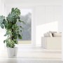 Ecopots Pflanztopf Venice 2, weiße Ausführung mit Monstera-Pflanze im hellen Raum.