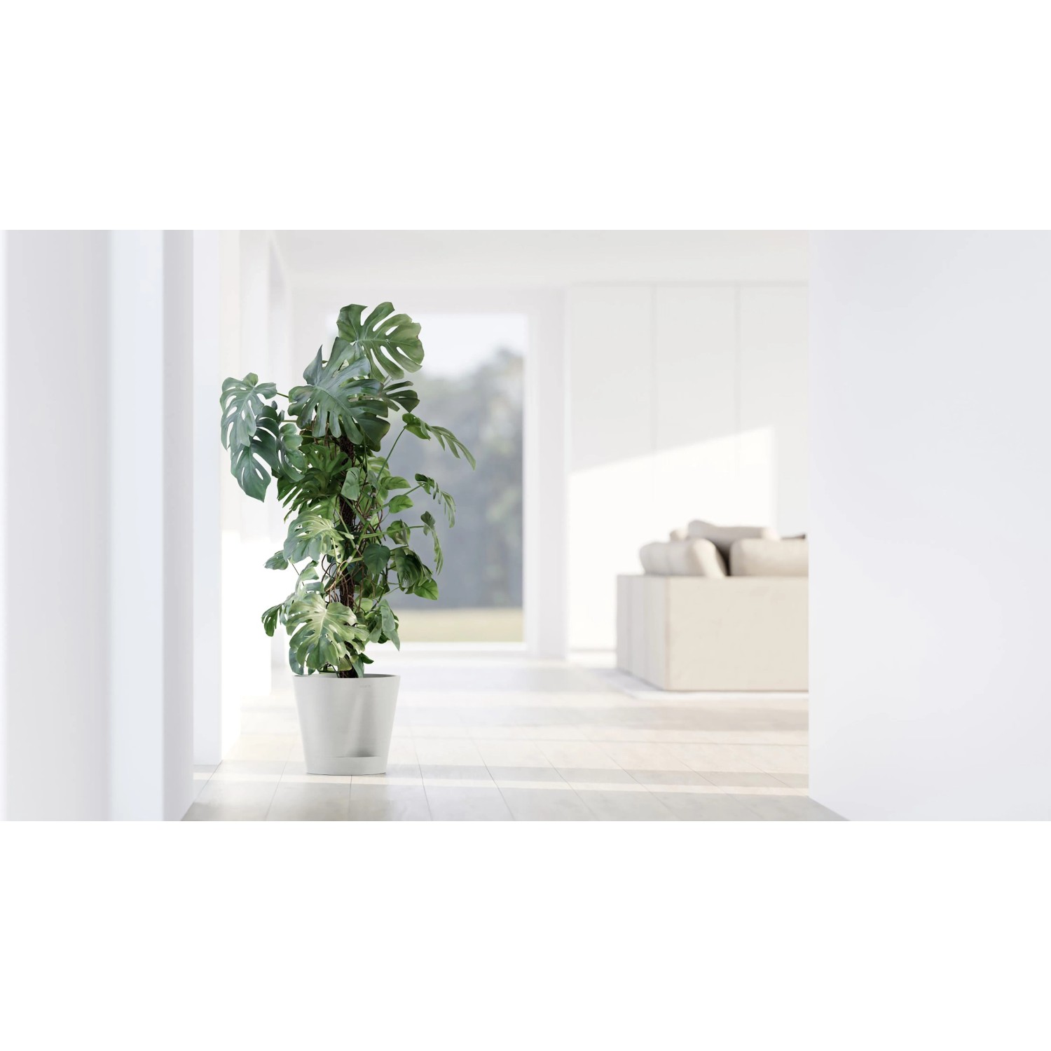 Ecopots Pflanztopf Venice 2, weiße Ausführung mit Monstera-Pflanze im hellen Raum.