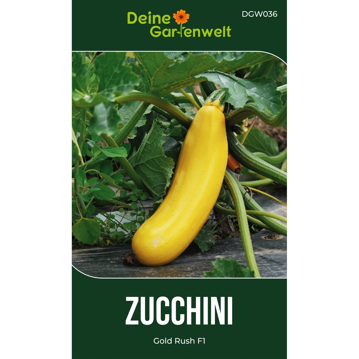 Deine Gartenwelt Zucchini Gold Rush F1 Samen günstig online kaufen