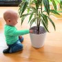Kind mit Abus Blumentopfgitter JC1430 Noah als Kindersicherung am Blumentopf.