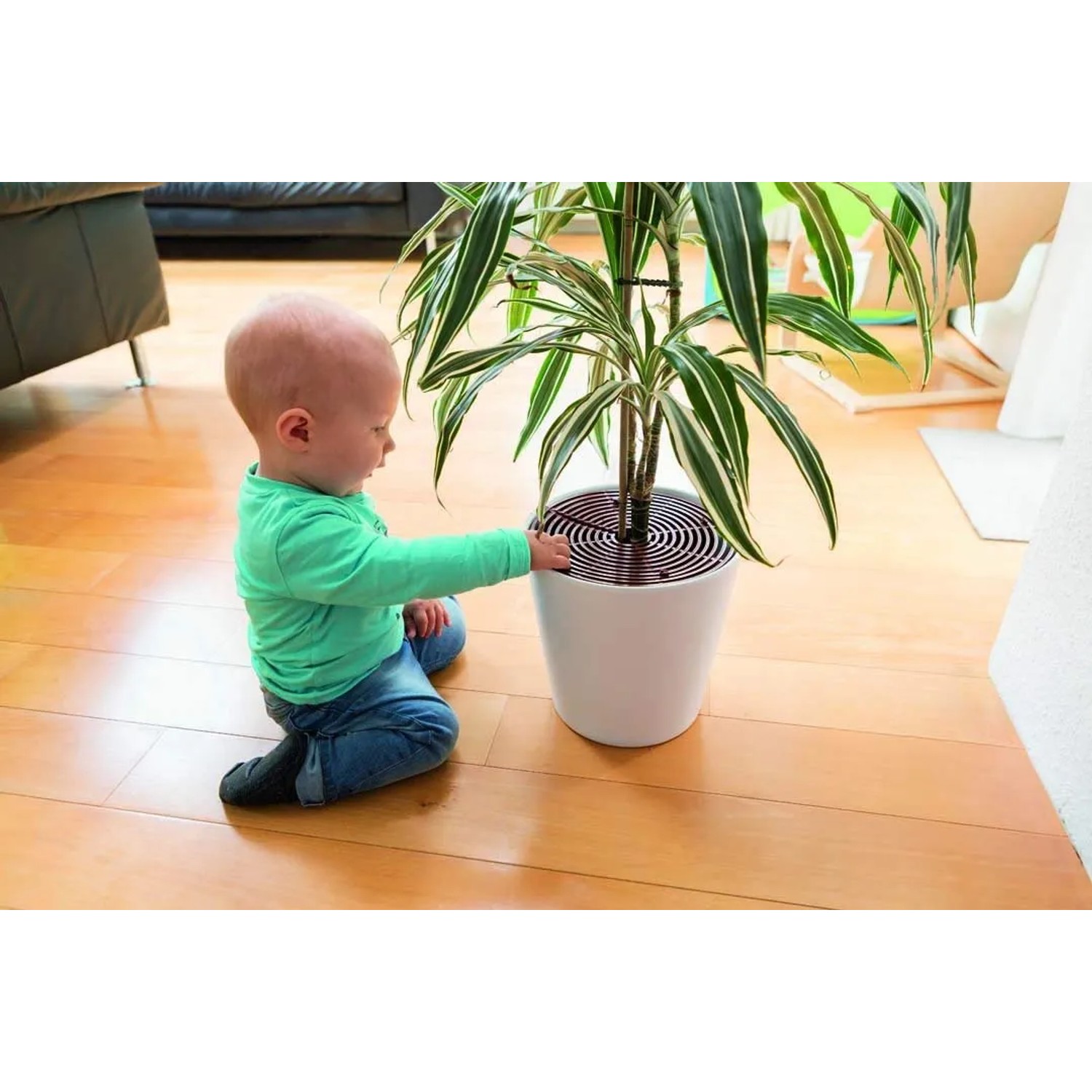 Kind mit Abus Blumentopfgitter JC1430 Noah als Kindersicherung am Blumentopf.