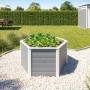 Graues Weka 6-Eck Elementhochbeet 669 (143x120x68,5 cm) im Garten mit Pflanzen.
