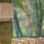 Wild Yard Fledermaushaus aus Zedernholz für bis zu 75 Fledermäuse am Baum.