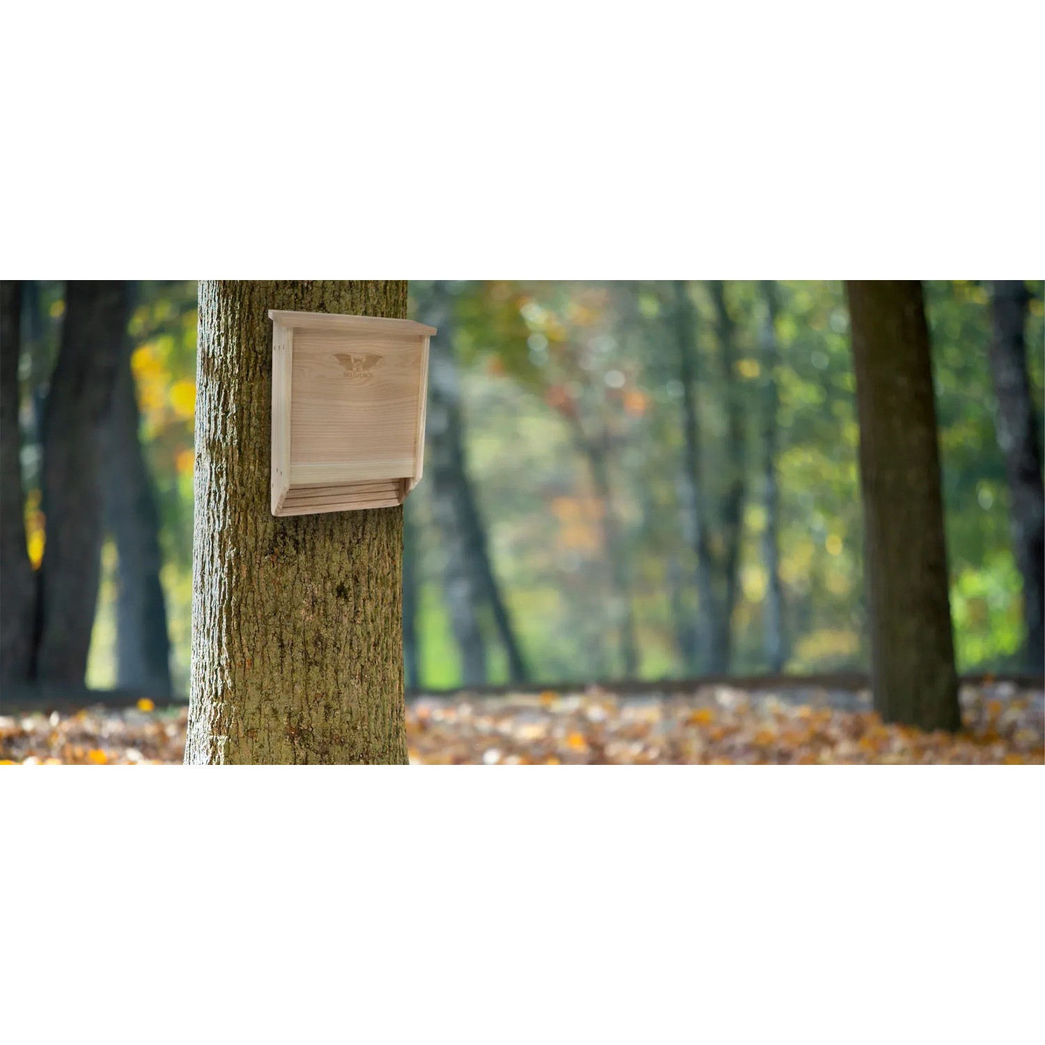 Wild Yard Fledermaushaus aus Zedernholz für bis zu 75 Fledermäuse am Baum.