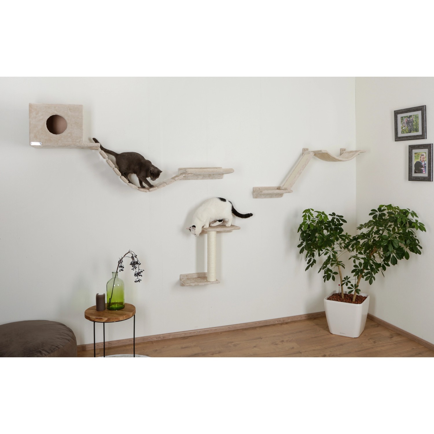 Beige Kerbl Kletterwand Zugspitze für Katzen, 5-teilige Wandmontage mit zwei Katzen.