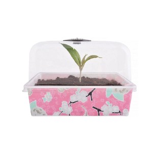 Jet-Line Blumenkasten 3er Set mit rosa Blumenmuster und transparenter Abdeckung, 22x17x15 cm.