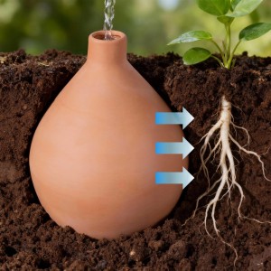 Relaxdays Olla Terrakotta, 3L, zur Selbstbewässerung im Gartenbeet. Wassertropfen laufen in das Gefäß.