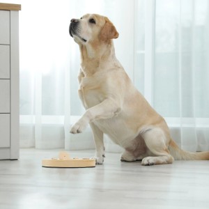 Relaxdays Intelligenzspielzeug für Hunde MDF Natur Antirutsch 4 cm x 23 cm 720 g