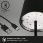 Schwarze Brilo Akku-Tischleuchte mit USB-C Kabel und integrierter Batterie. Außen-Dekoleuchte.
