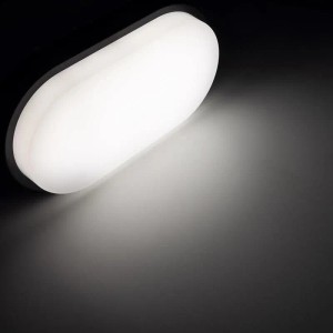 ChiliTec LED Wandleuchte PALAU IP54, oval, anthrazit, opal, neutralweißes Licht.