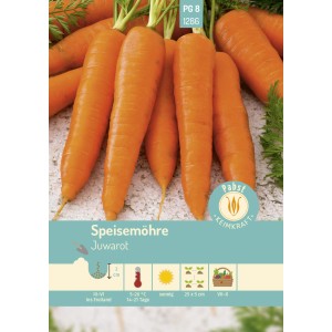 Frische, orangefarbene Speisemöhren Juwarot, mittelfrüh und reich an Carotin.