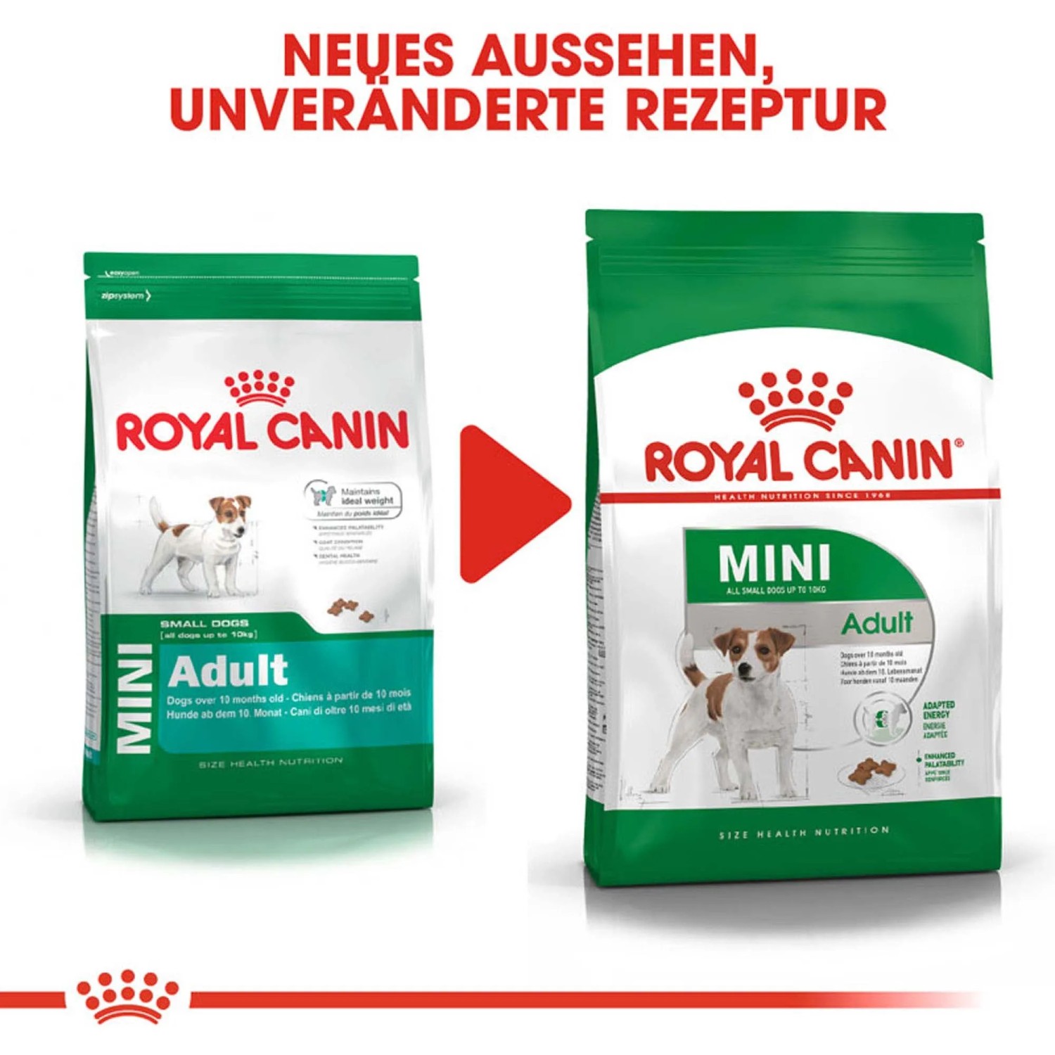 zwiebel knoblauch aufbewahrung Tupperware® Kleines Lager – Zwiebel- & Knoblauchbehälter mit Belüftung main image 0