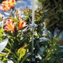 Bellissa Pflanzstab Premium 130 cm, verzinkt, mit Pflanzen und Schiebeklemmen im Garten.
