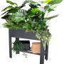 Anthrazitfarbenes Wagner Holz-Hochbeet Green Box Light aus Pappelholz mit Bepflanzung und Ablage.