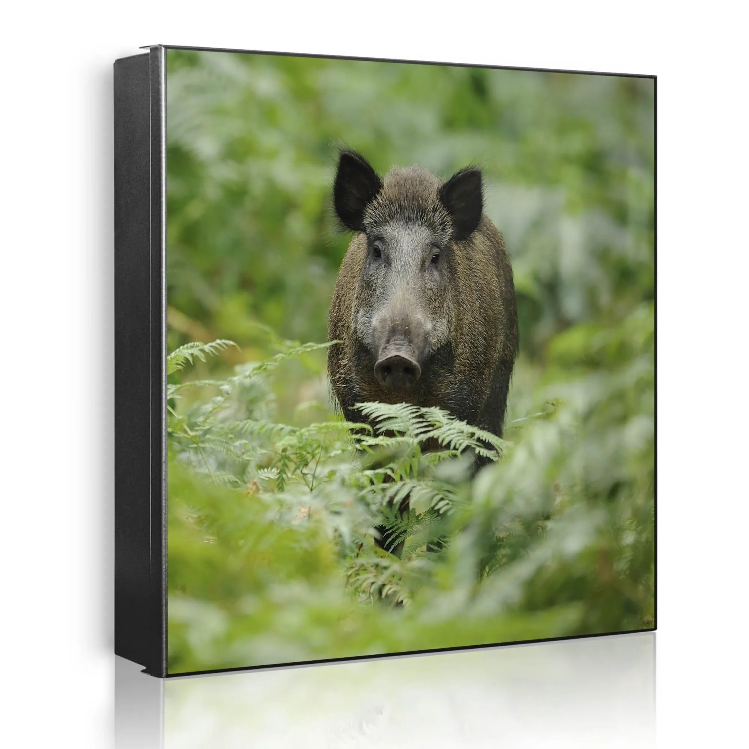 Banjado Großer Schlüsselkasten Metall 30x30cm Schwarz Scharnier Links 50 Haken Beschreibbar Magnetisch Motiv Wildschwein