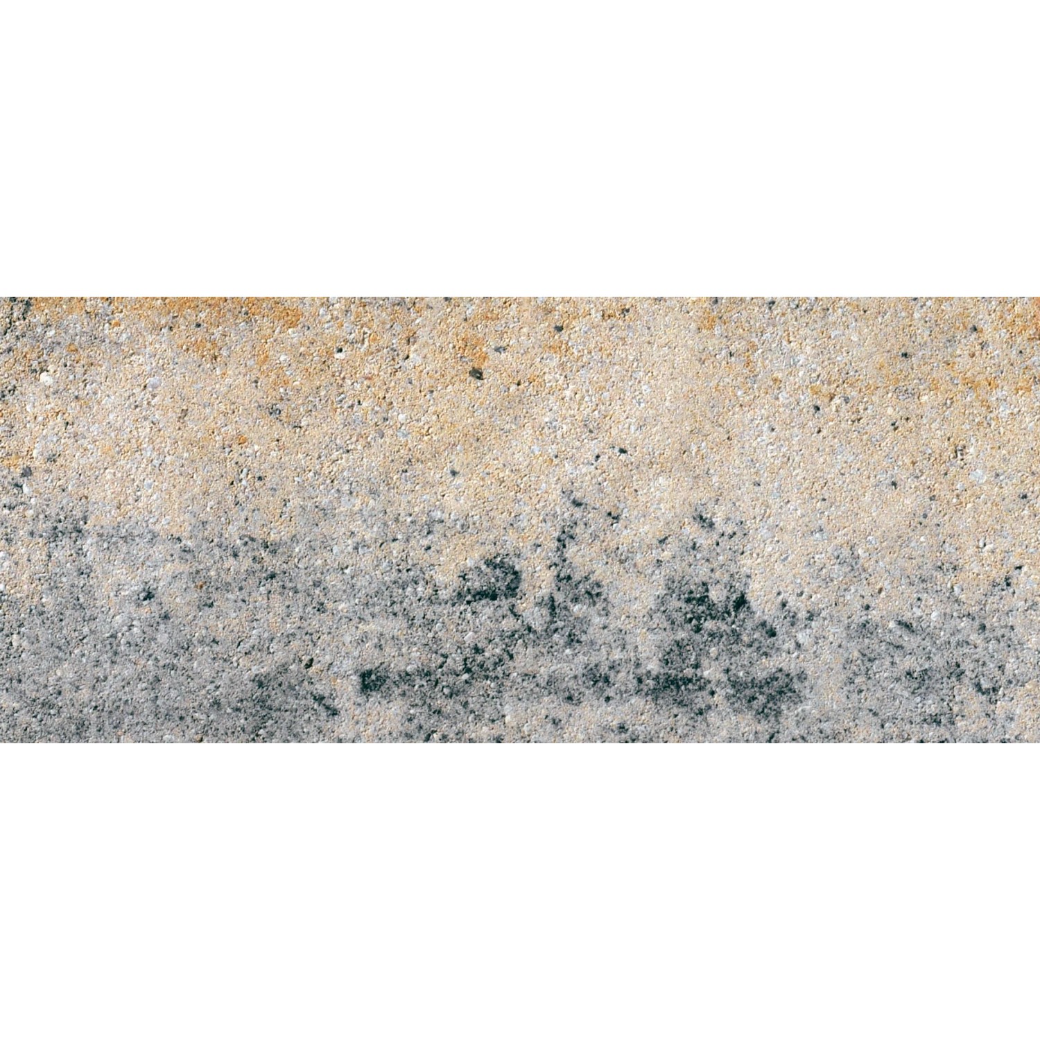 Diephaus Mauerstein Mileo Maxi Muschelkalk, 60x40x20 cm, Detailansicht der Oberfläche.