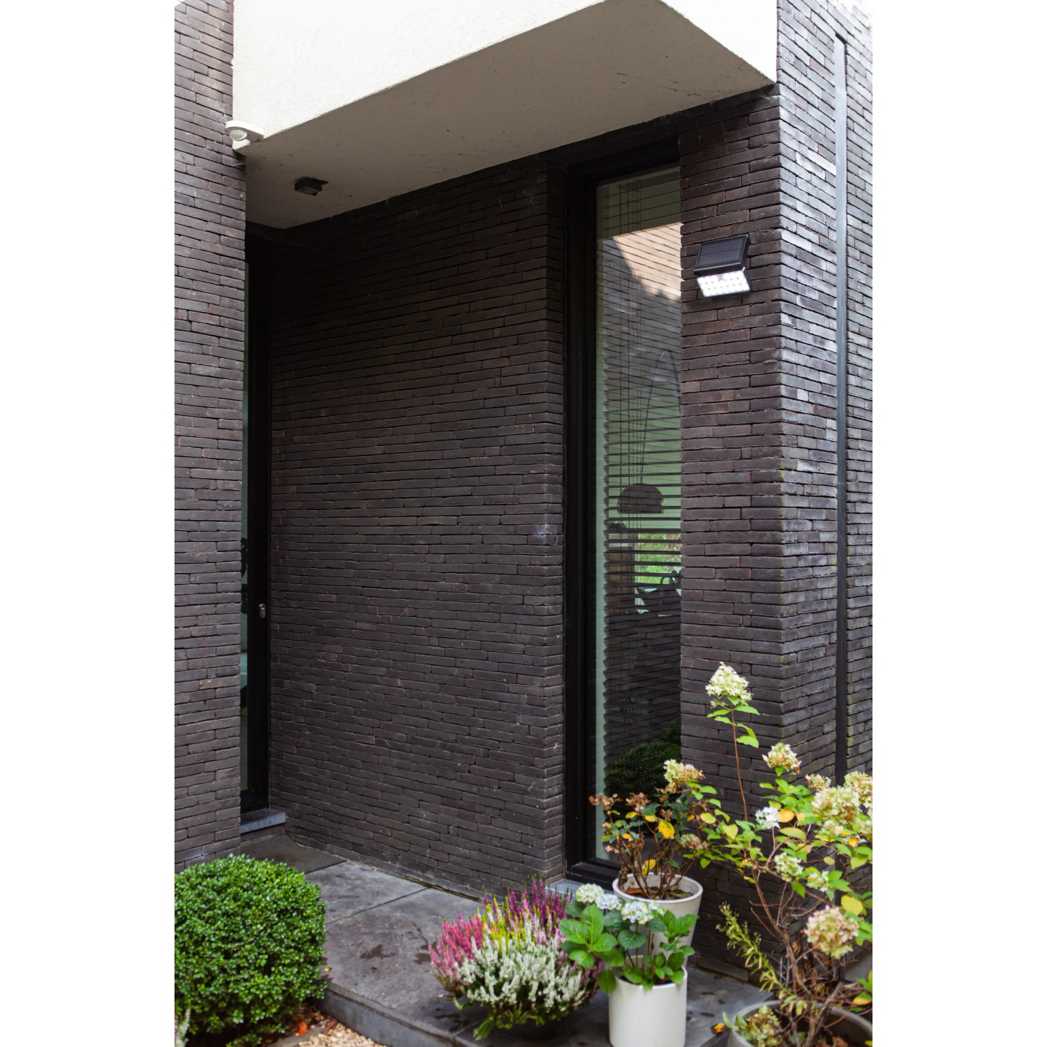 Schwarze Lutec LED Solar-Wandleuchte Tuda mit Bewegungsmelder an dunkler Hauswand.