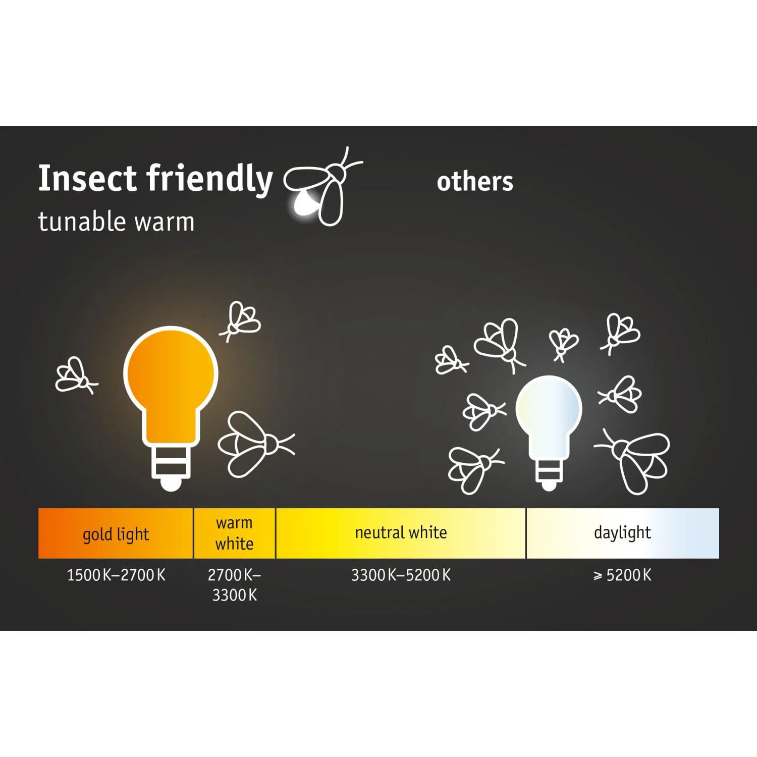 Paulmann Plug & Shine: Illustration der Lichtfarben (1500K-5200K+) und Insektenfreundlichkeit des Bodeneinbaustrahlers.