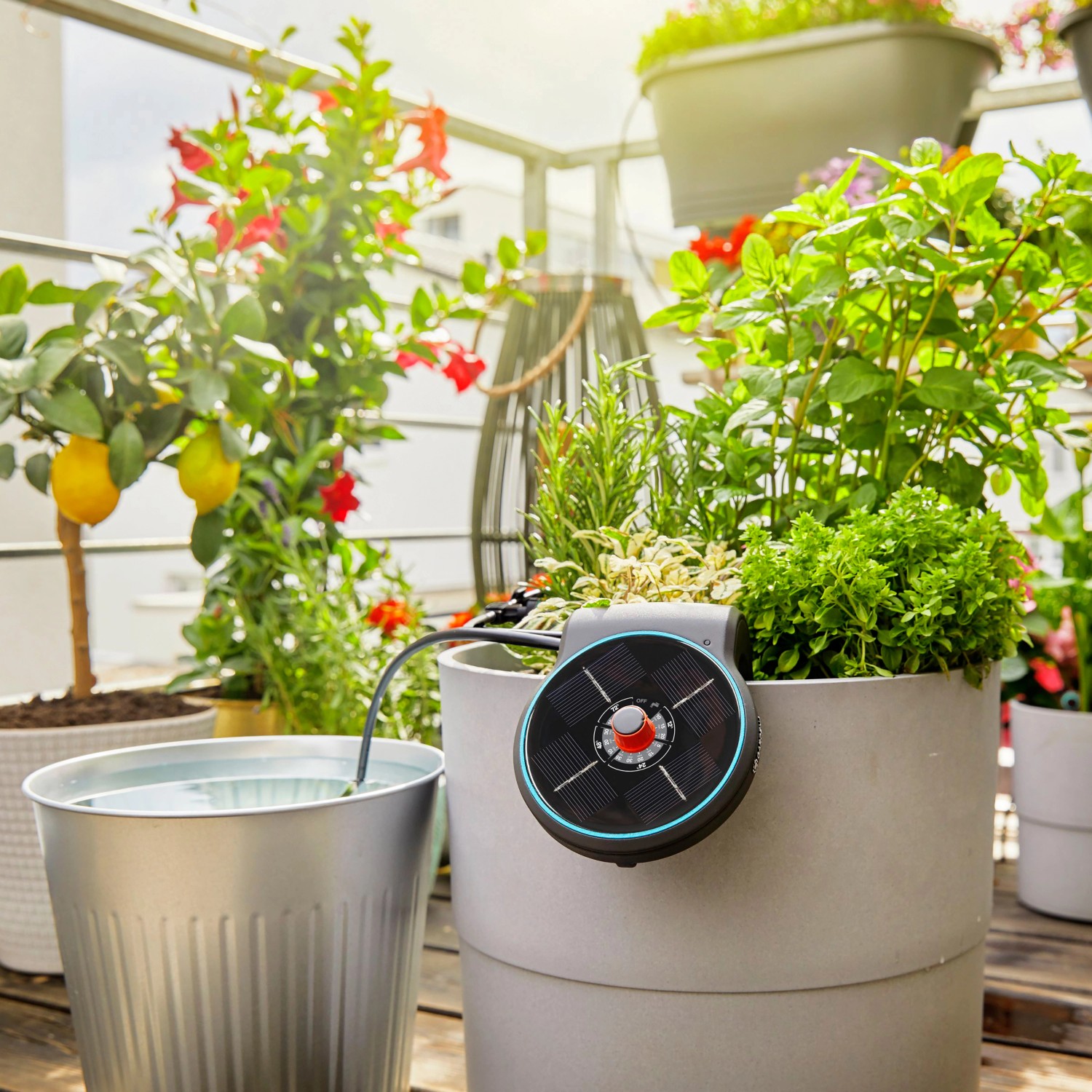 Gardena SolarBewässerung Aqua Bloom Set kaufen bei OBI
