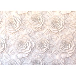 Fototapete Rosen Weiß von Sanders & Sanders, florales Muster mit 3D-Effekt.