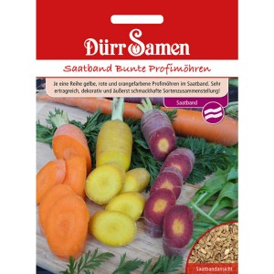 Dürr Samen Saatband mit bunten Profimöhren (gelb, rot, orange) für den Gemüseanbau.