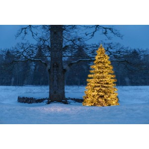 Konstsmide Micro LED Cluster Lichterkette mit bernsteinfarbenen LEDs an Weihnachtsbaum im Schnee.