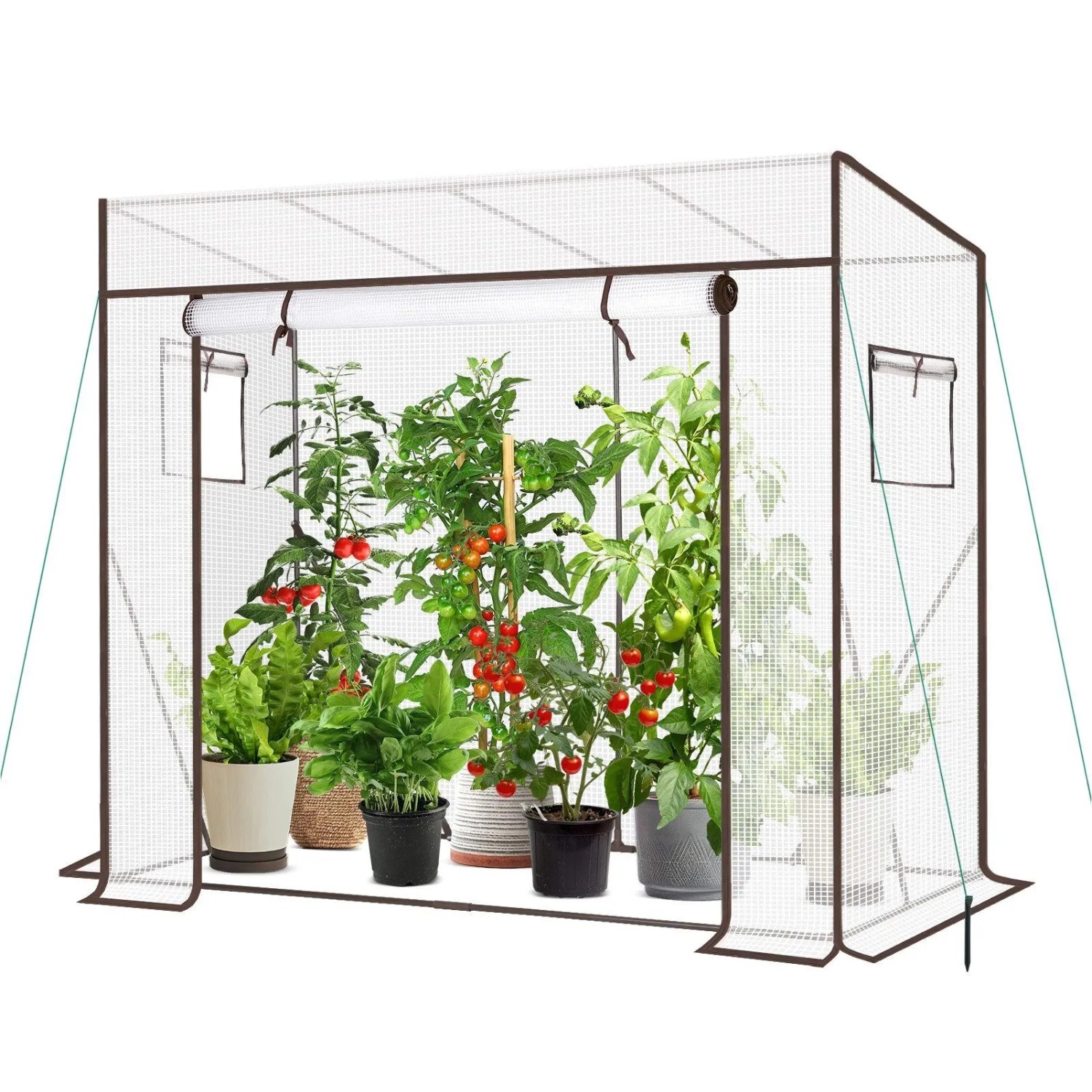 Sekey Schrägdach Foliengewächshaus Tomatenhaus Begehbar 200x77x146-169cm PE-Plane 140 g Pro Quadratmeter Wasserdicht Wetterfest Pflanzenhaus