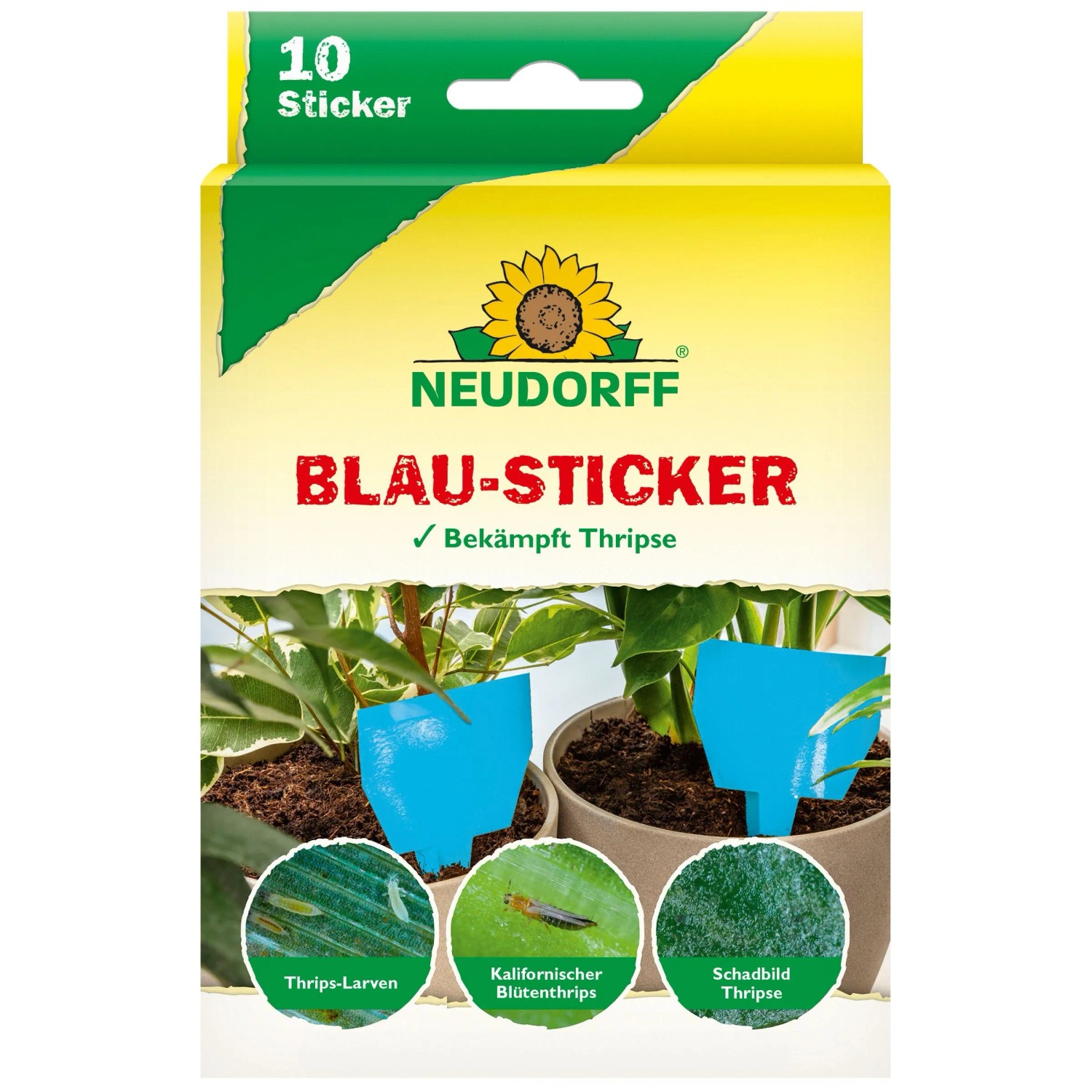 Neudorff Blau-Sticker Insektenfalle 10 Stück