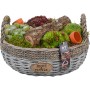 Hauswurz-Trio im Korb, bepflanzte Schale mit Sempervivum, Topf-Ø 32cm, für Balkon & Terrasse.