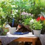 Abdeckvlies schützt Tisch mit Pflanzen und Gartenzubehör vor Schmutz.