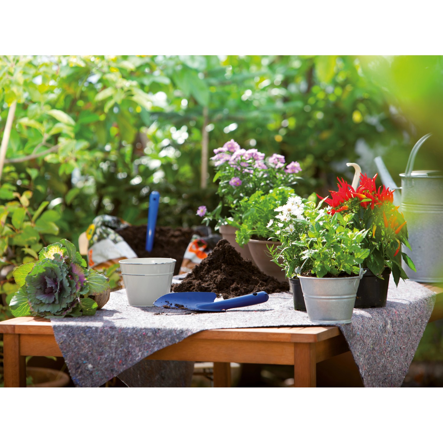 Abdeckvlies schützt Tisch mit Pflanzen und Gartenzubehör vor Schmutz.