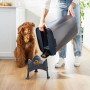 Rotho Tierfutterbehälter Cody 50 l Transparent/Grau beim Befüllen eines Hundenapfs, Hund daneben.
