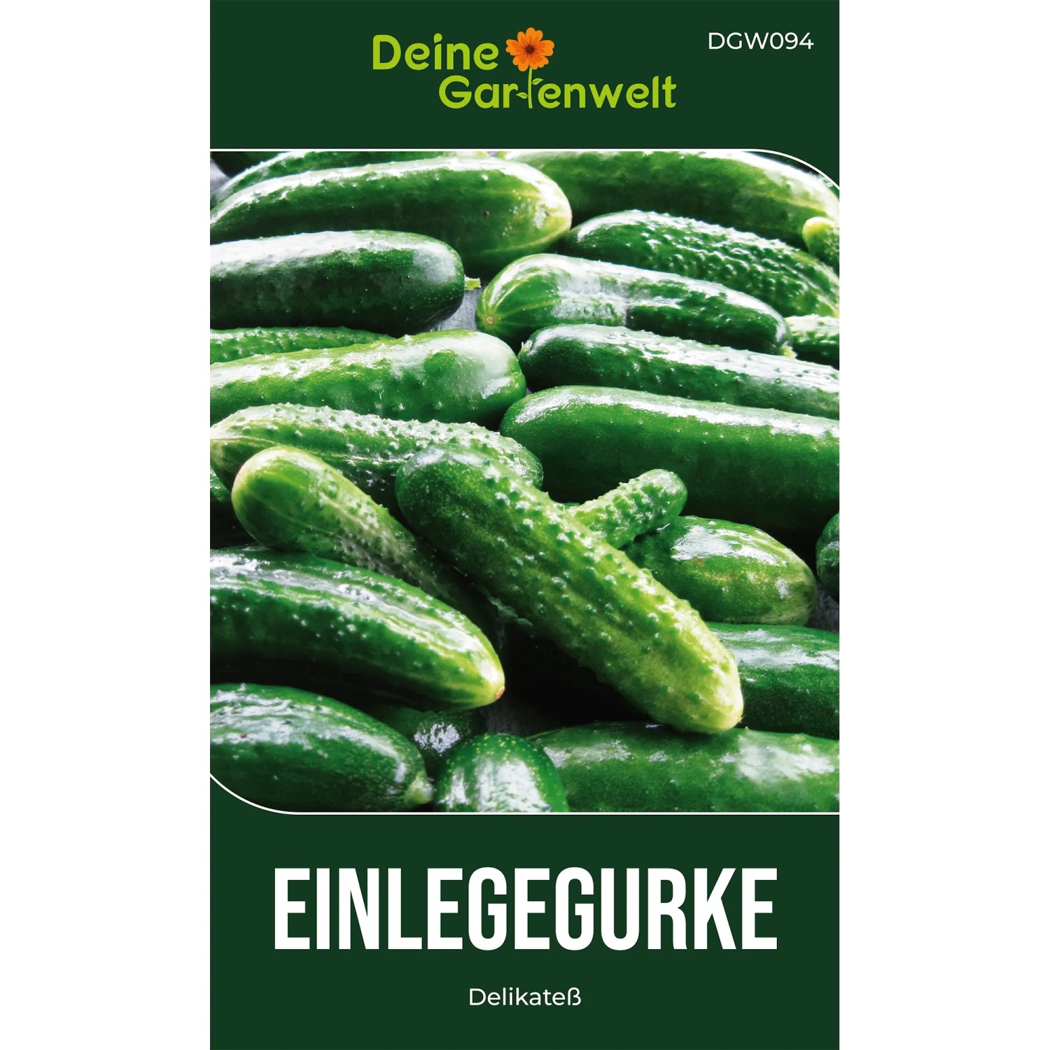 Deine Gartenwelt Salat Und Einlegegurken Delikateß Samen