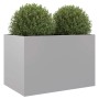 Silberner Pflanzkübel aus verzinktem Stahl, rechteckig, mit grünen Pflanzen. Ideal für Garten & Balkon.