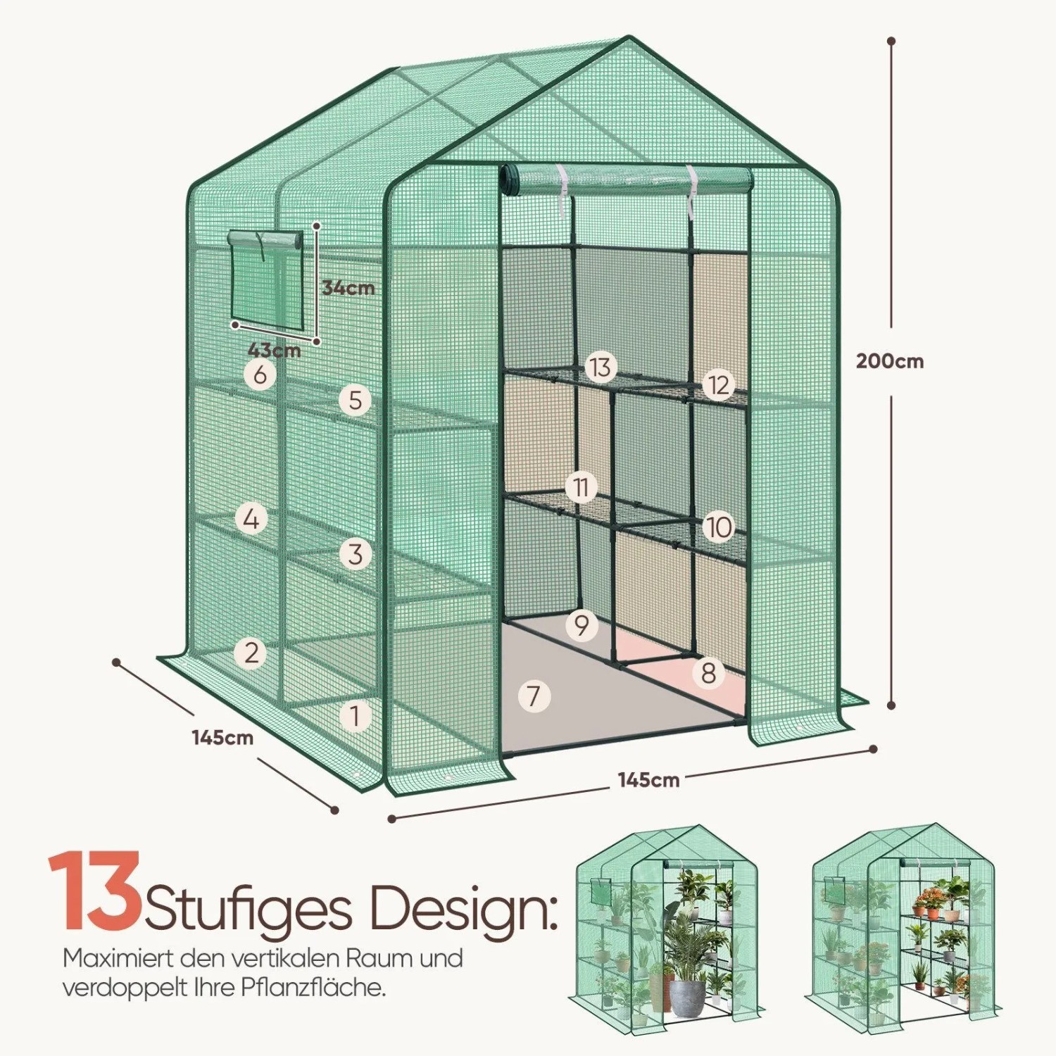 Grünes begehbares Foliengewächshaus 145x145x200cm mit 8 Regalen, Tür und Fenster für Gartenpflanzen.
