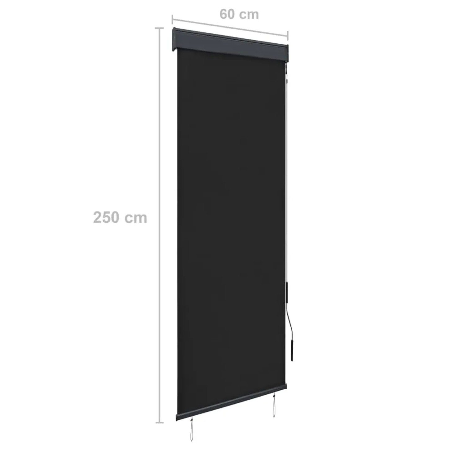 Anthrazitfarbenes vidaXL Außenrollo, 60x250 cm, für Fenster, Balkon und Terrasse.